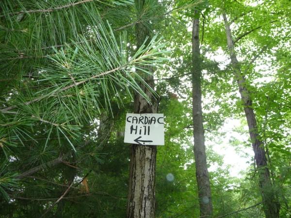 155.jpg