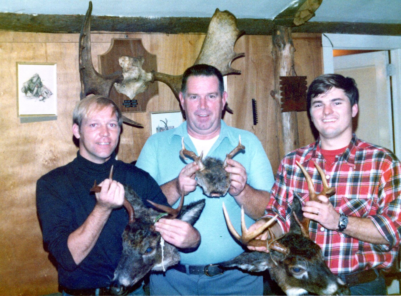 3 deer