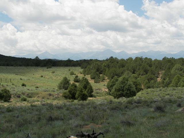 Digital 850 first transfer 360