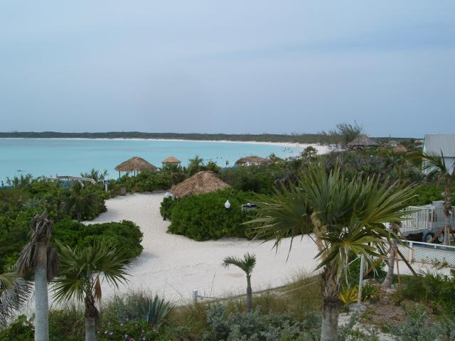 DSCF0336