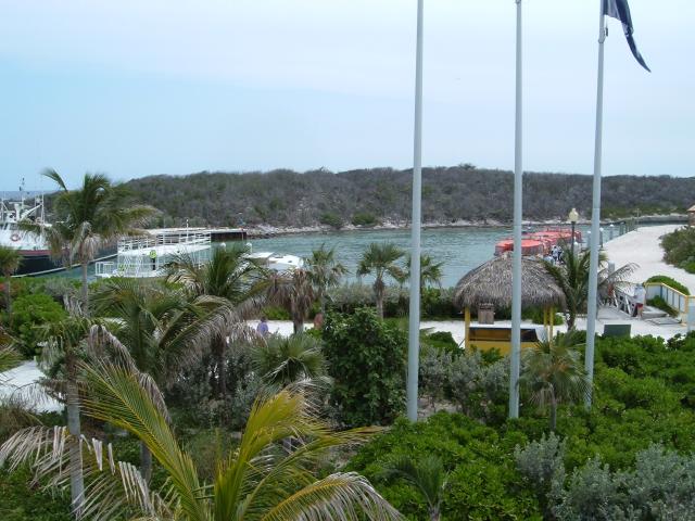 DSCF0337