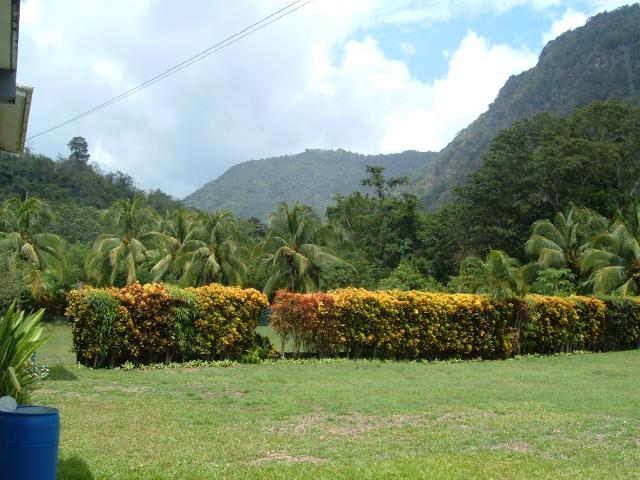 DSCF0371