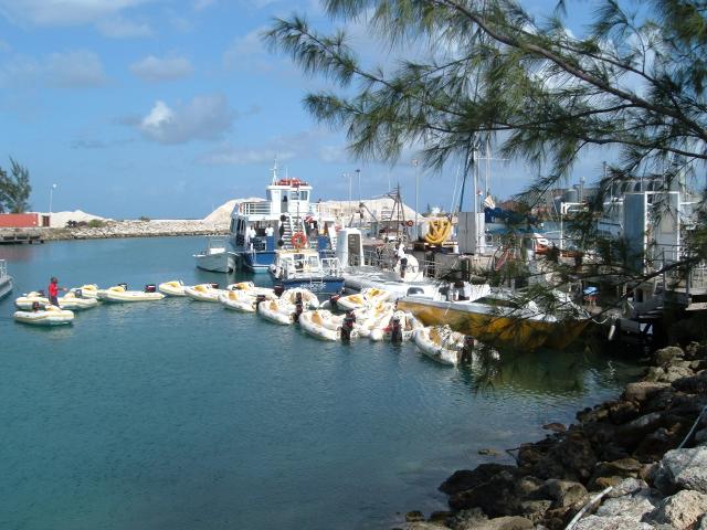 DSCF0378