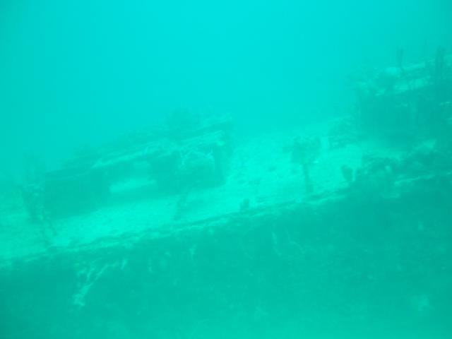 DSCF0390