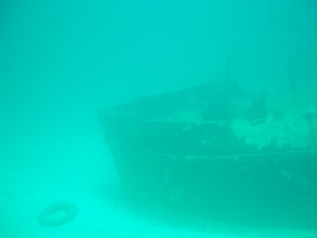 DSCF0391