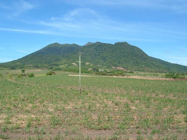 DSCF0428