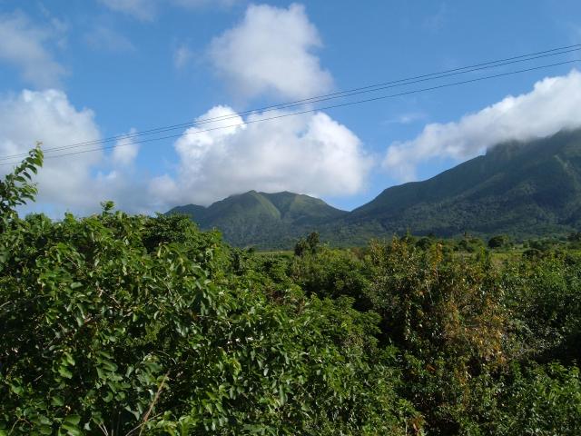 DSCF0444