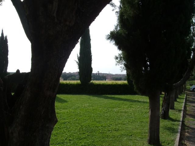 DSCF0574
