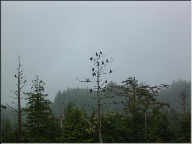 DSCF0035