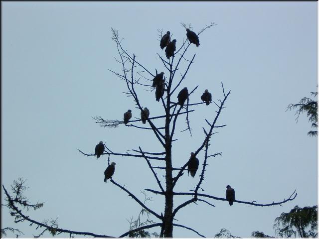 DSCF0036