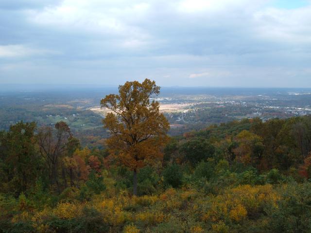 DSCF1697