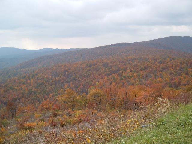 DSCF1701