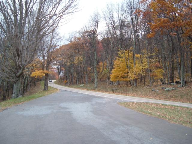 DSCF1723