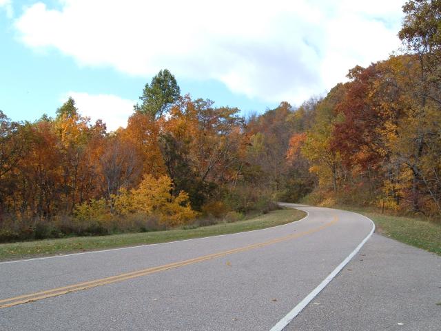 DSCF1728