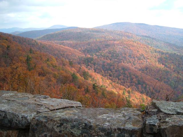DSCF1741