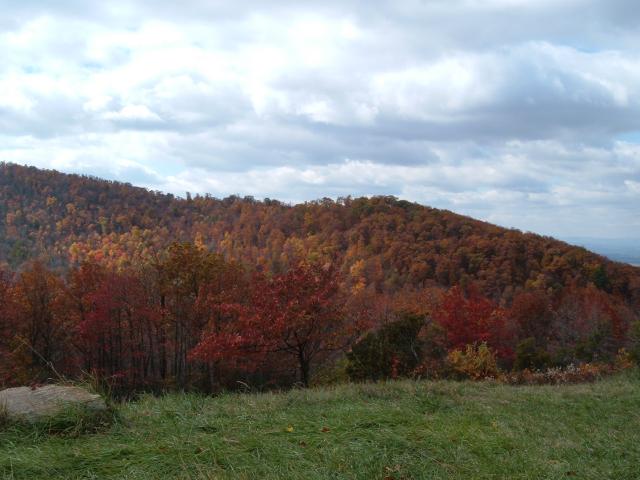 DSCF1742
