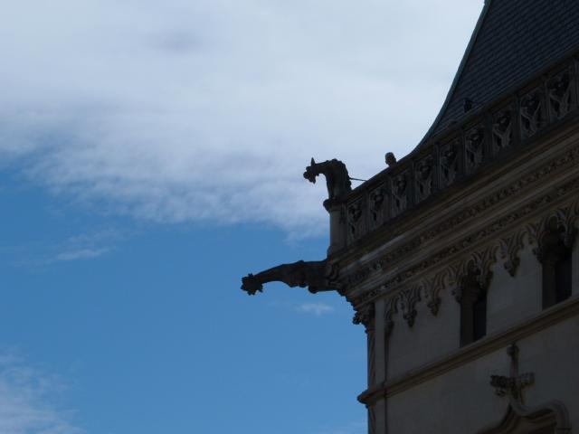 DSCF1768