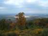DSCF1697