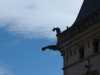 DSCF1768
