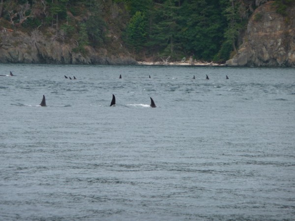 128.jpg