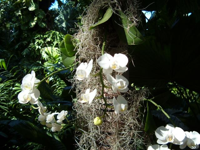 DSCF2033