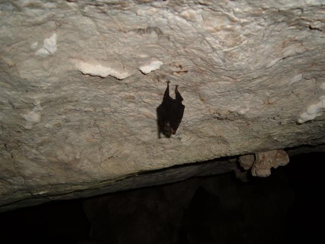 DSCF2079