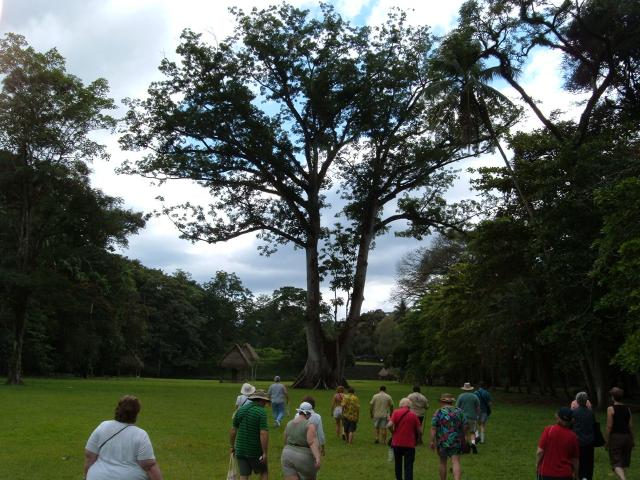 DSCF2095