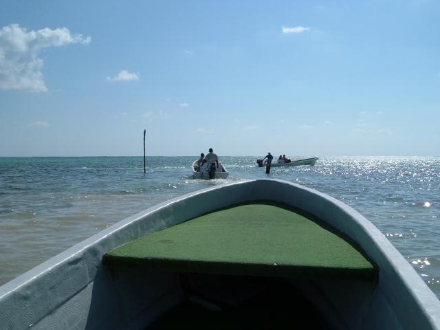 DSCF2109