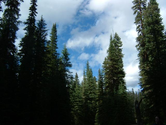 DSCF0015