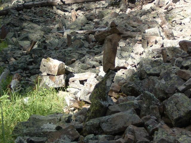 DSCF0017