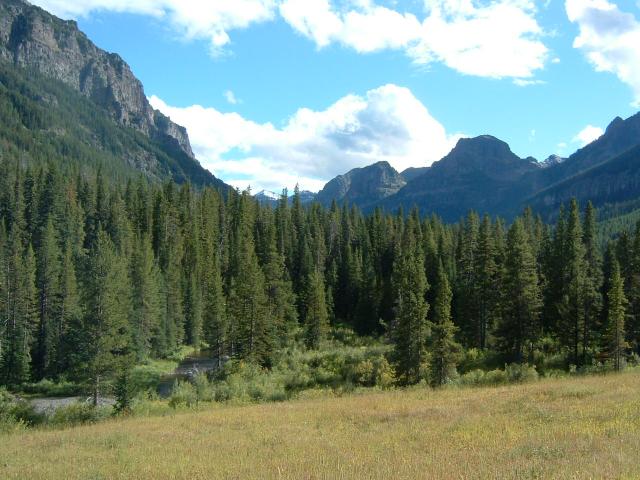 DSCF0018