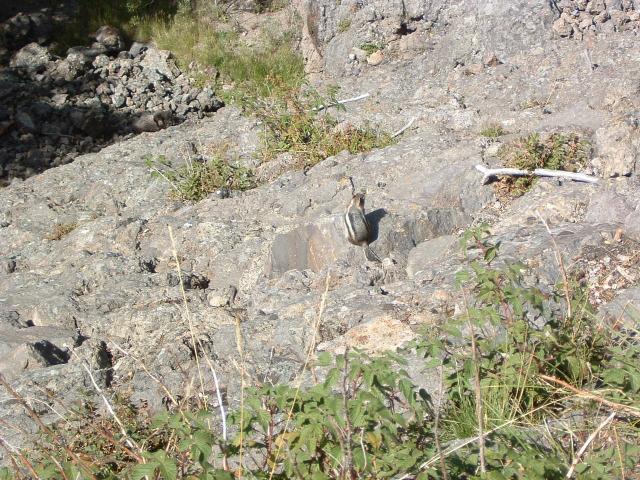 DSCF0027