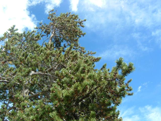 DSCF0036