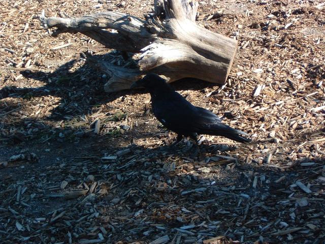 DSCF0074