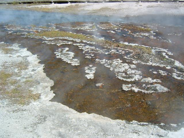DSCF0091
