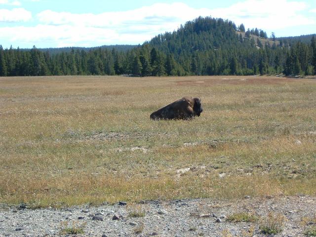 DSCF0097