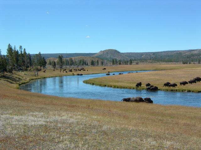 DSCF0100