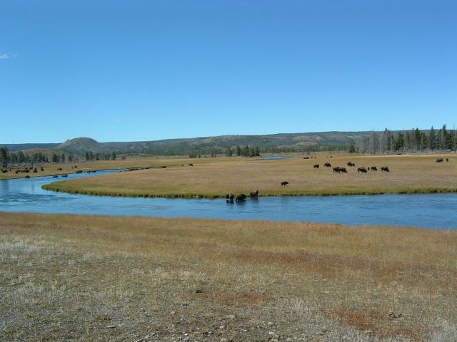 DSCF0101