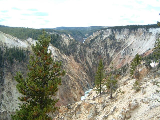 DSCF0142
