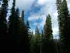 DSCF0015