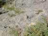 DSCF0028