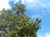 DSCF0036
